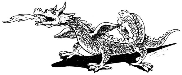 drachen wärmflasche